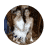 Screen-Shot-2019-06-14-at-2.11.44-pm